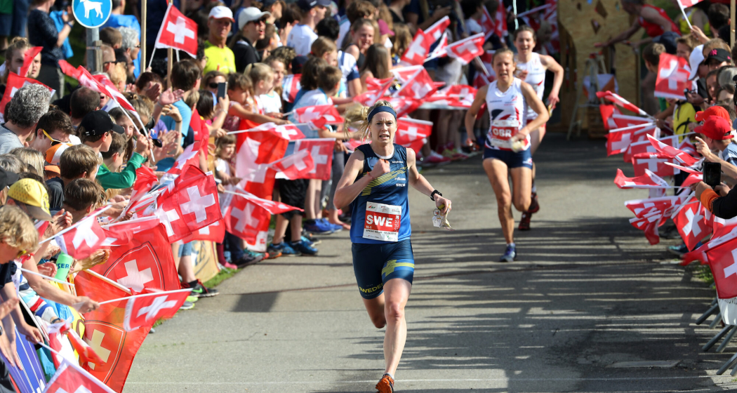 Orientierungslauf Orientierungslauf